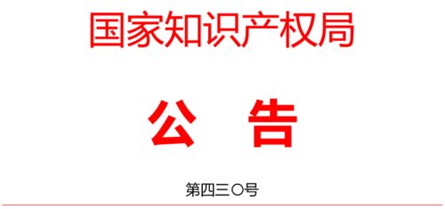 專(zhuān)利代理師 知識(shí)產(chǎn)權(quán)專(zhuān)業(yè)最全解讀